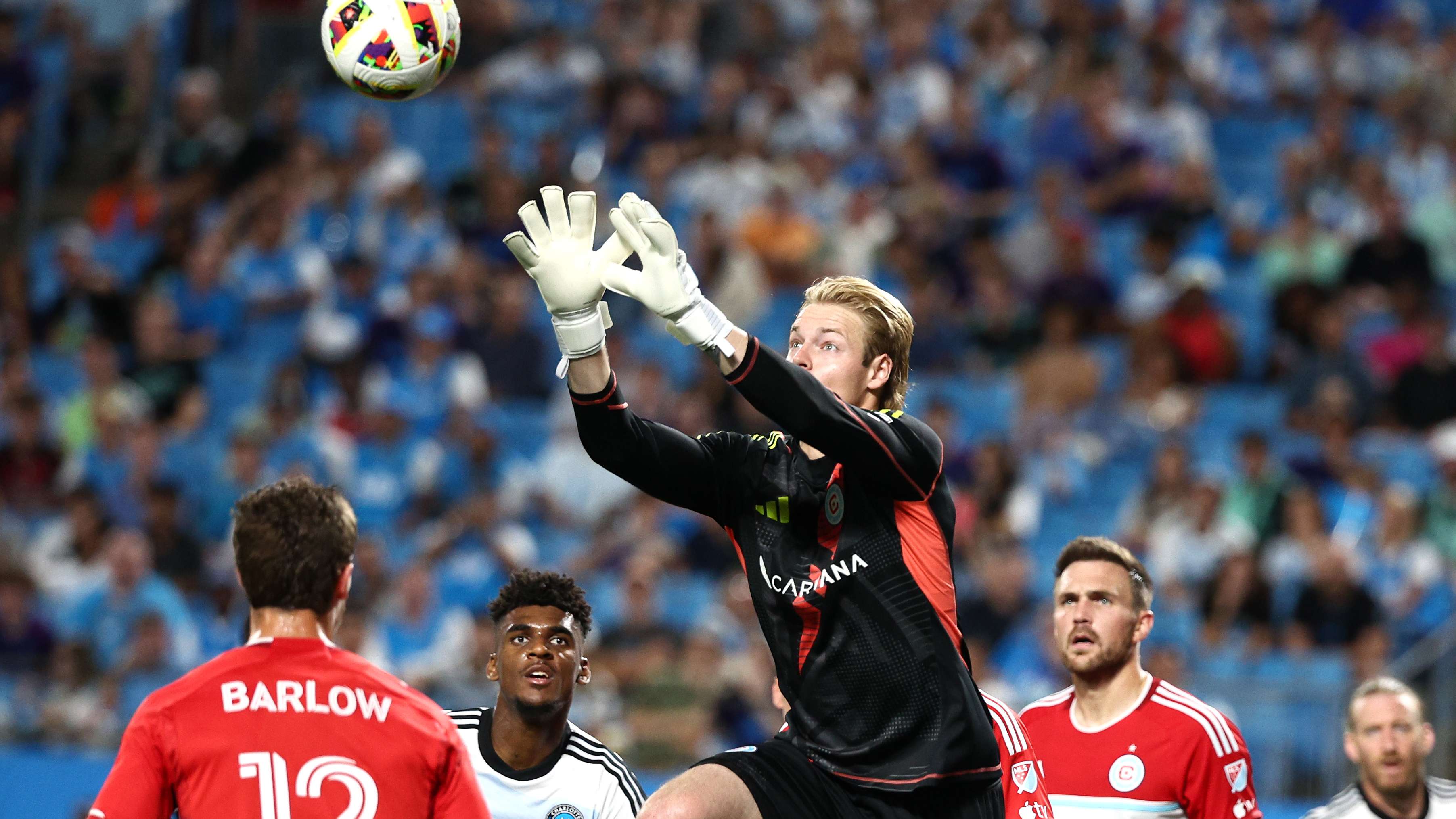 他的组织能 他的组织能